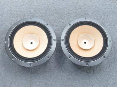 Used Fostex FE203 En-S Loudspeakers for Sale | HifiShark.com