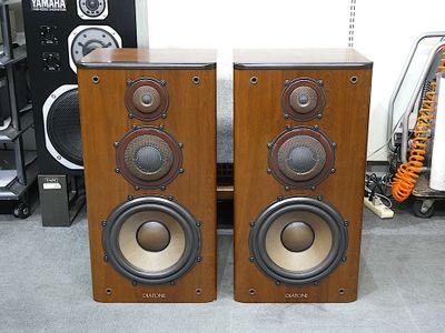 Used diatone ds 1000 for Sale | HifiShark.com