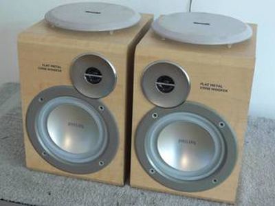 philips flat metal cone woofer