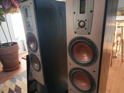 Alvorlig overdrivelse Kakadu Used Dali Mentor 6 Floorstanding speakers for Sale | HifiShark.com