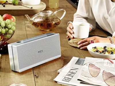 Loewe speaker discount 2go canada