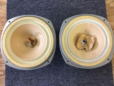 Used coral flat 8 for Sale | HifiShark.com