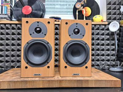 Used tannoy mx1 for Sale | HifiShark.com